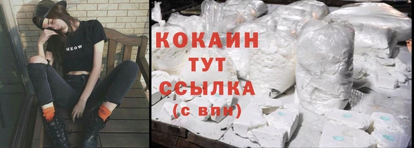 молекула духа Киренск