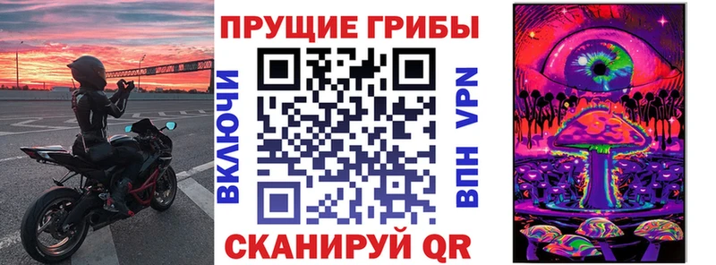 Купить где  Городище  Псилоцибиновые грибы MAGIC MUSHROOMS 